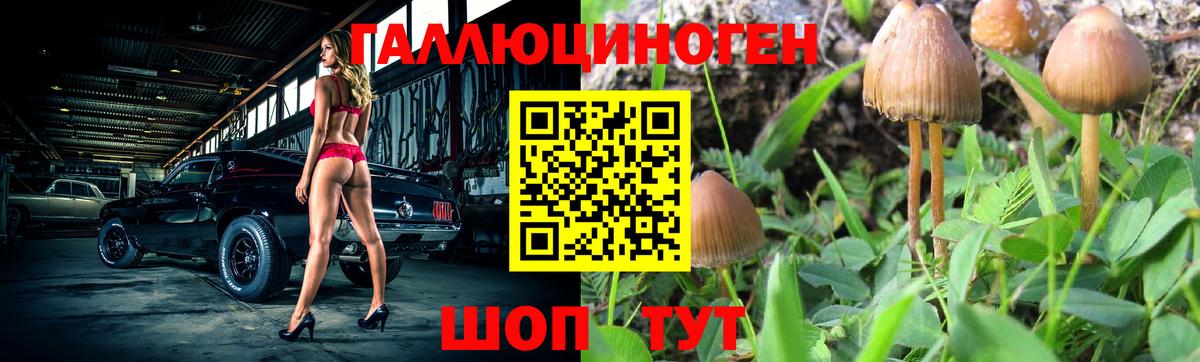 Магнитогорск  Галлюциногенные грибы Cubensis  Вход с VPN 